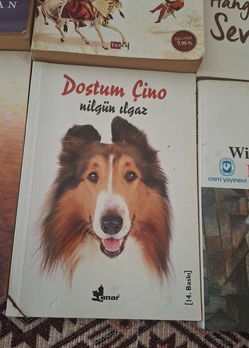 Çeşitli Roman Kitapları Koleksiyonu - Görsel 6