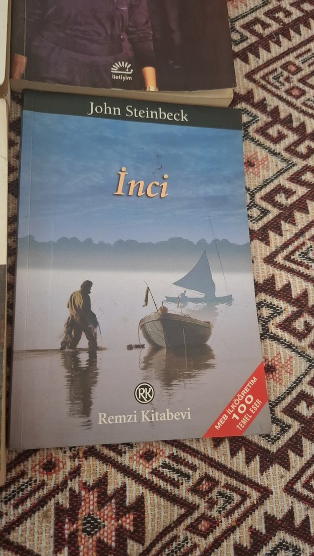 Çeşitli Roman Kitapları Koleksiyonu - Görsel 4