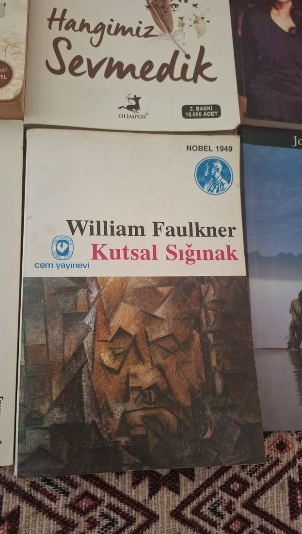 Çeşitli Roman Kitapları Koleksiyonu - Görsel 5