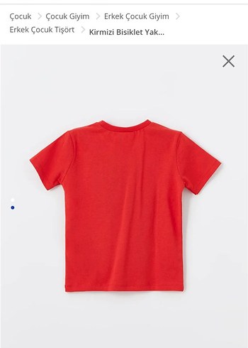 Erkek Çocuk Kırmızı Bisiklet Yaka Tişört 4.5 yaş uyumlu - Görsel 2