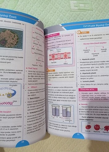Beden Renk Pratik Biyoloji Özeti | Miray Yayınları