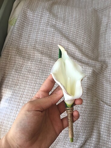 Gelin çiçeği - Görsel 5