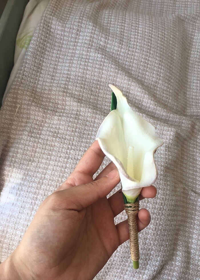 Gelin çiçeği - Görsel 5