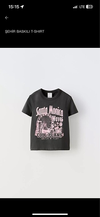 zara tshirt