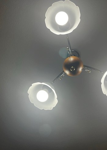 Beyaz Çiçek Desenli Tavan Lambası - Görsel 2