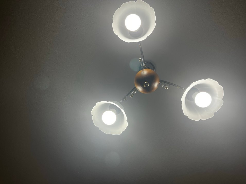 Beyaz Çiçek Desenli Tavan Lambası - Görsel 2