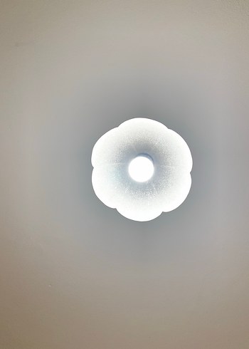 Beyaz Çiçek Desenli Tavan Lambası - Görsel 2