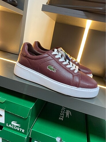 LACOSTE