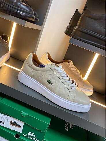 LACOSTE