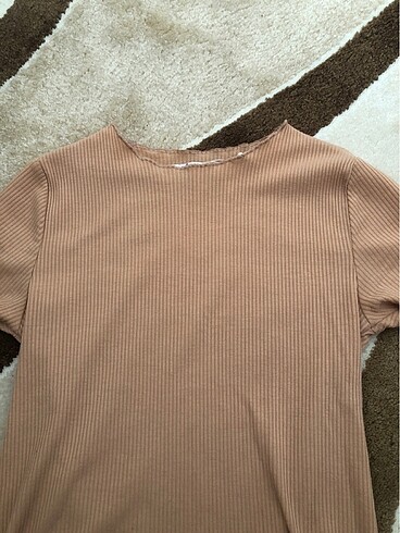 Koton crop
