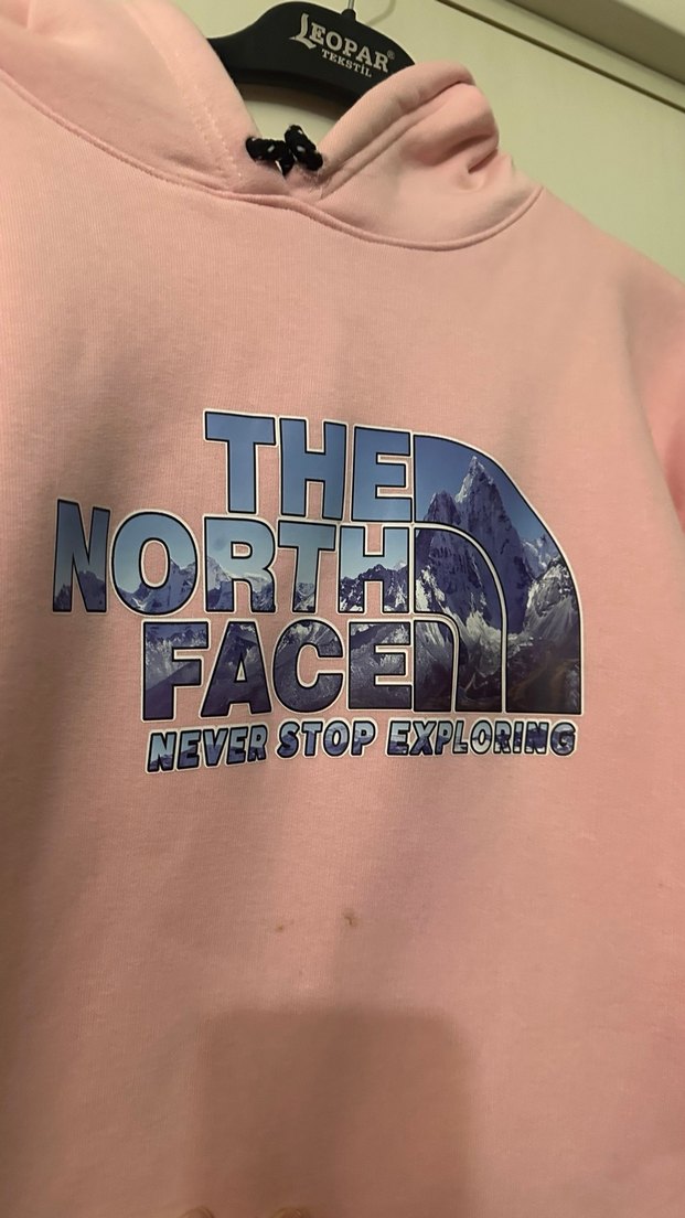 Pembe Baskılı Normal Boy Kadın Sweatshirt - Görsel 2