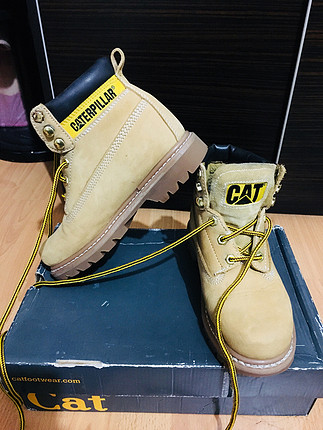 36 Beden Cat bott