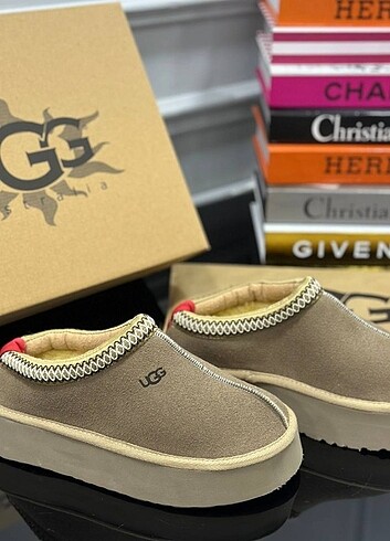 Ugg Ugg tazz ayakkabı 