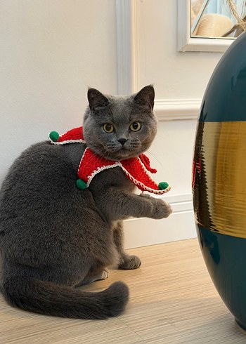 Kırmızı Gri Kedi Aksesuarı - Görsel 2