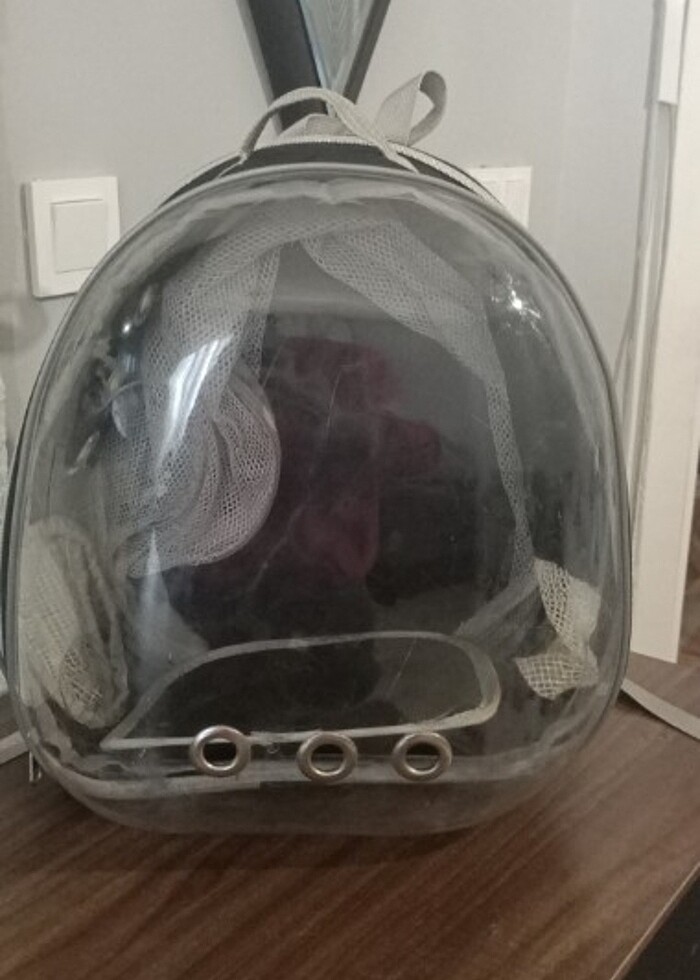 Büyüyebilen astronot kedi çantası - Görsel 5