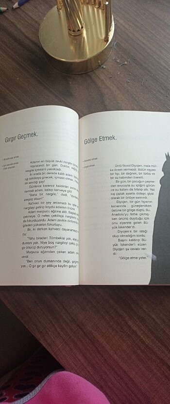 Beden Renk 101 Deyim 101 Öykü, Öyküleştirilmiş Deyim Kitabı