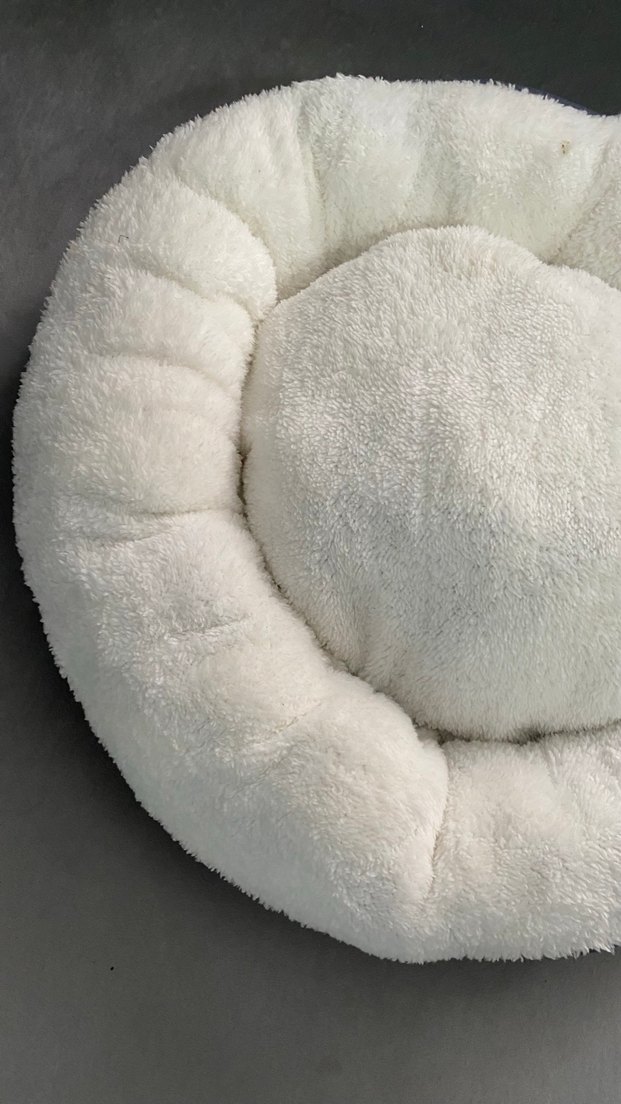 Kedi yatağı - Görsel 3