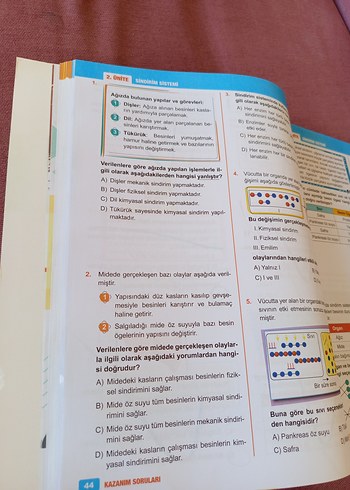 Beden Renk Fenomen 6A Fen Bilimleri Soru Bankası