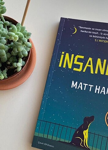 Mart haig insanlar ve gece yarısı kütüphanesi