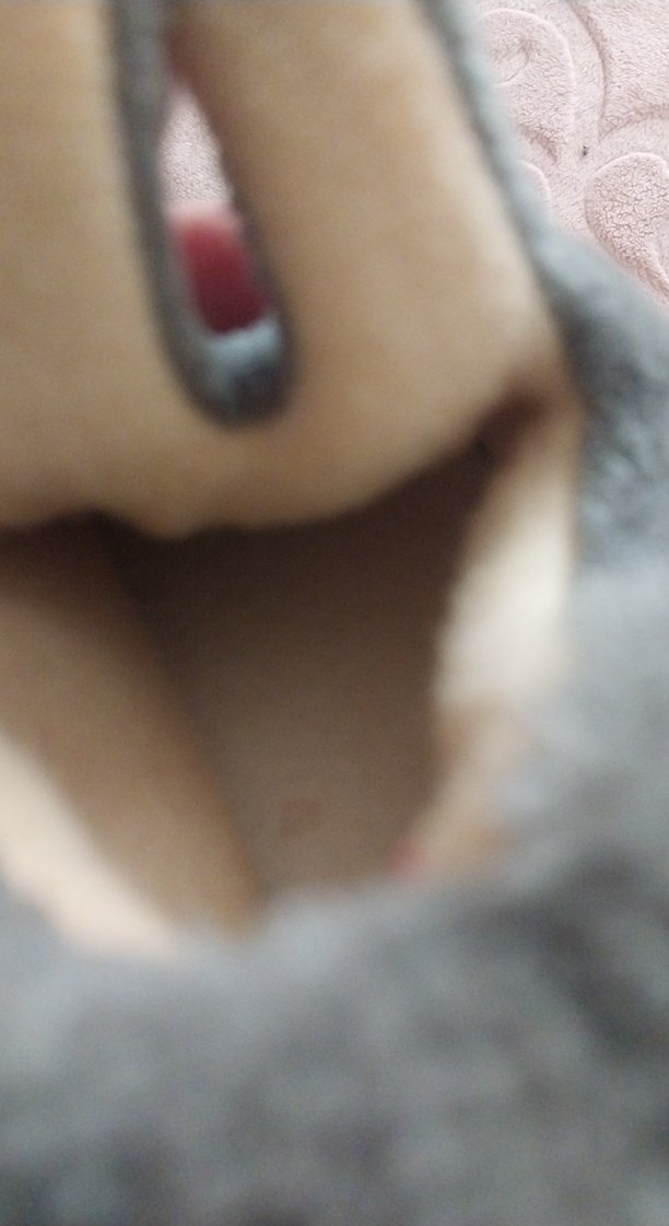 Gri Kız Çocuk Kürklü Nakışlı Ev Terliği - Görsel 3