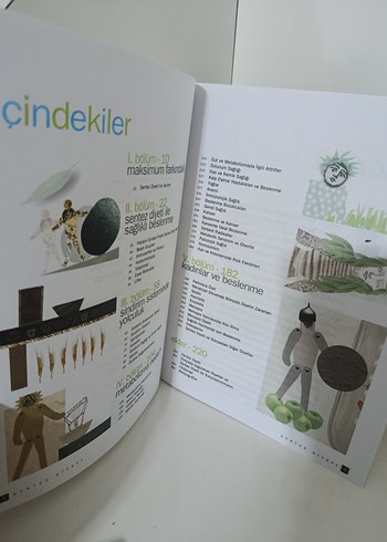 Taylan Kümeli - Sentez Diyeti Kitabı - Görsel 5