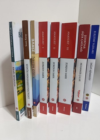 Çeşitli Edebiyat Kitapları Seti Anayurt 1-2-3 - Görsel 4