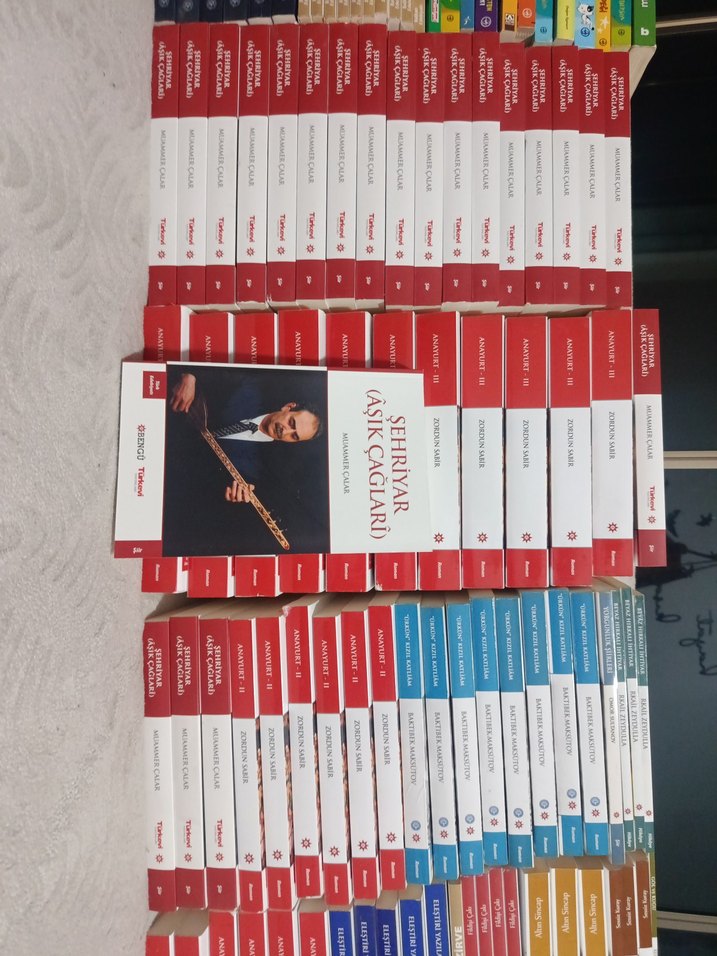 Şehriyar (Âşık Çağları) - Muammer Çalar - Görsel 4