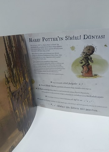 Harry Potter Sihir Tarihinde Bir Yolculuk - Görsel 4