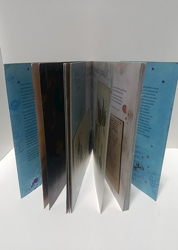 Harry Potter Sihir Tarihinde Bir Yolculuk - Görsel 3