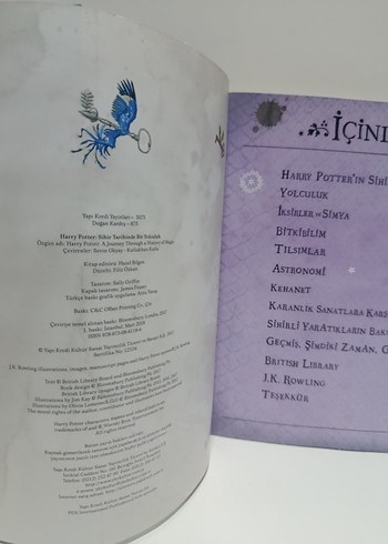 Harry Potter Sihir Tarihinde Bir Yolculuk - Görsel 5