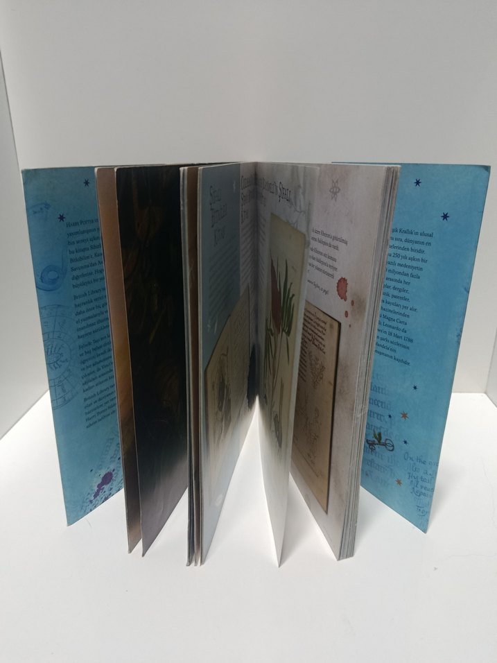 Harry Potter Sihir Tarihinde Bir Yolculuk - Görsel 3