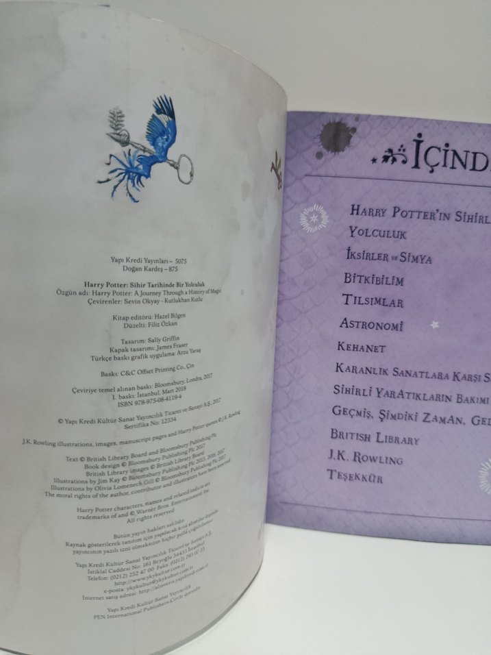 Harry Potter Sihir Tarihinde Bir Yolculuk - Görsel 5