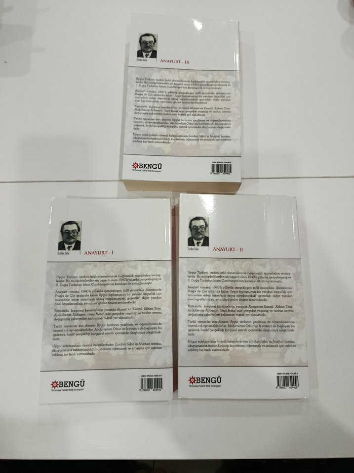 Zordun Sabır'ın Anayurt Roman Serisi - 3 Kitap - Görsel 5
