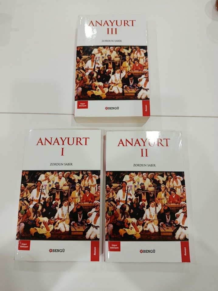 Zordun Sabır'ın Anayurt Roman Serisi - 3 Kitap - Görsel 4