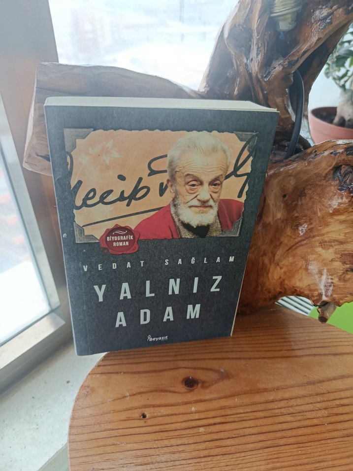 Vedat Sağlam - Yalnız Adam Romanı - Görsel 2