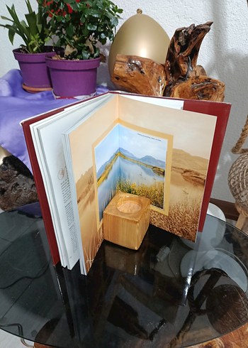 Doğanın Penceresinden Türkiye Kitabı - Görsel 4