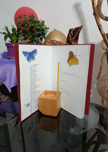 Doğanın Penceresinden Türkiye Kitabı - Görsel 6