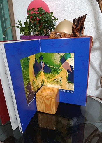 Doğanın Penceresinden Türkiye Kitabı - Görsel 7