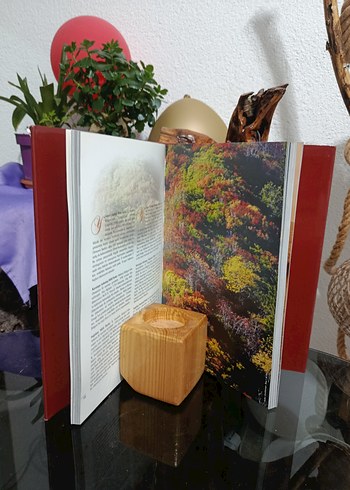 Doğanın Penceresinden Türkiye Kitabı - Görsel 5