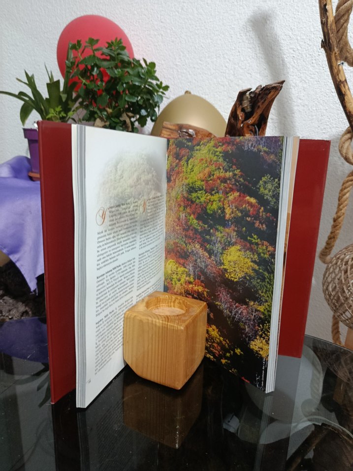 Doğanın Penceresinden Türkiye Kitabı - Görsel 5