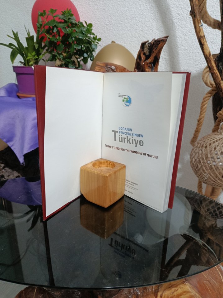 Doğanın Penceresinden Türkiye Kitabı - Görsel 2