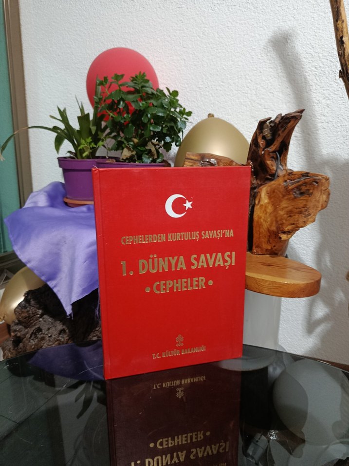 1. Dünya Savaşı Cepheleri Kitabı - Görsel 2