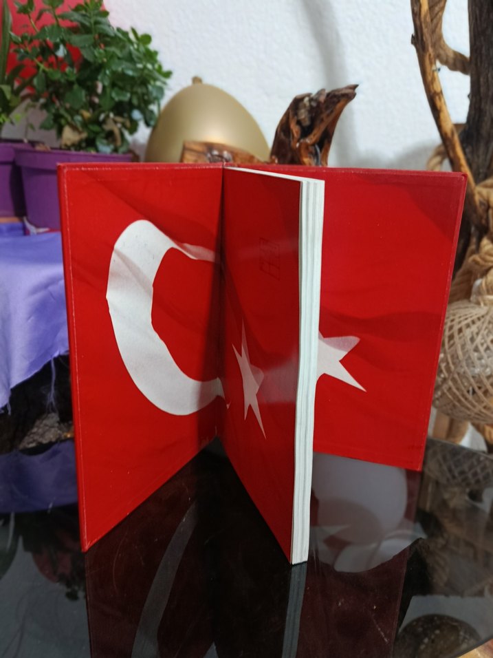 1. Dünya Savaşı Cepheleri Kitabı - Görsel 4