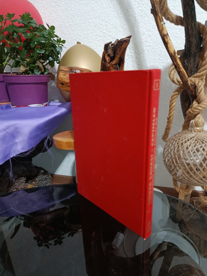 1. Dünya Savaşı Cepheleri Kitabı - Görsel 3