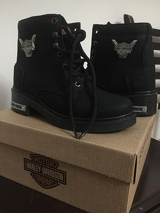 37 Beden Harley bot