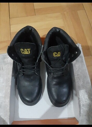 CAT Bot