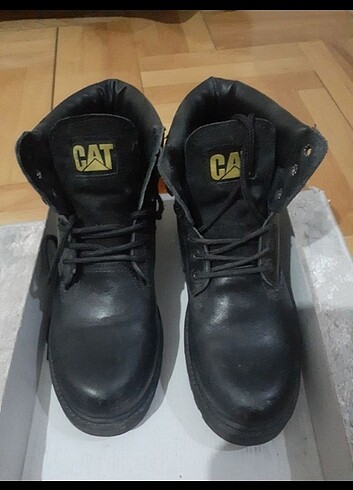 Cat CAT Bot