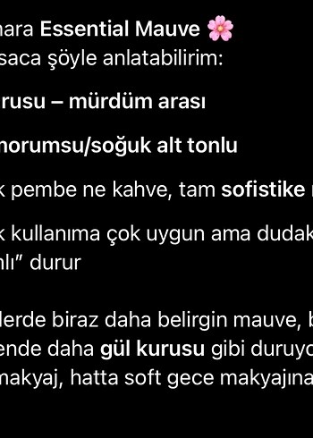 KIKO MILANO MATTE LIPSTICK - Görsel 4