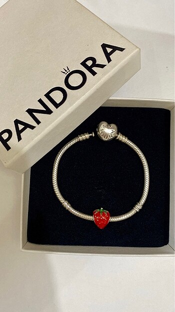 Pandora Pandora charm