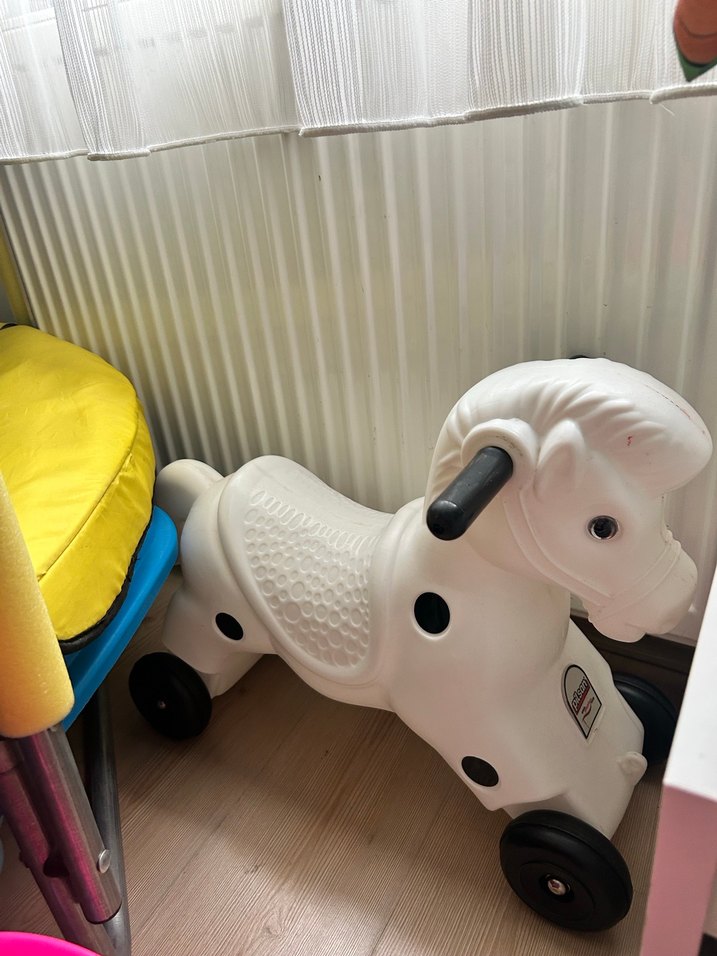 Beyaz Sallanan at - Görsel 2